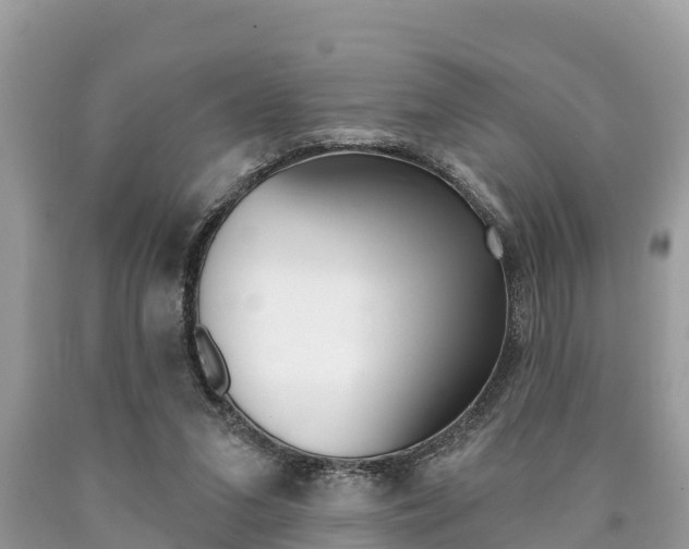 X0000090770207200707201121