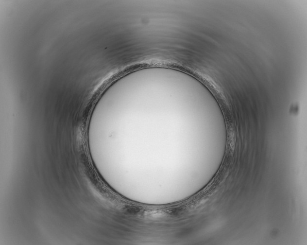 X0000090770208200707201121
