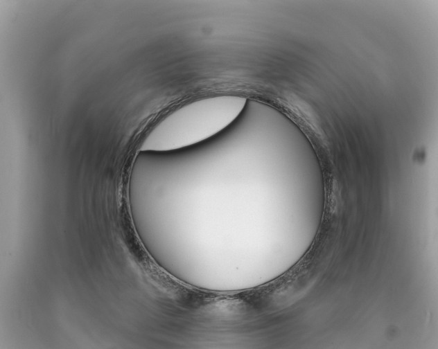 X0000090770210200707201121
