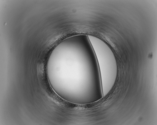 X0000090770211200707201121