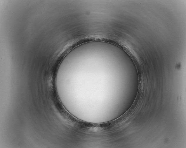 X0000090770212200707201121
