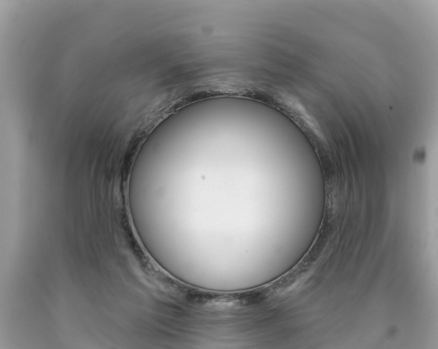 X0000090770213200707201121