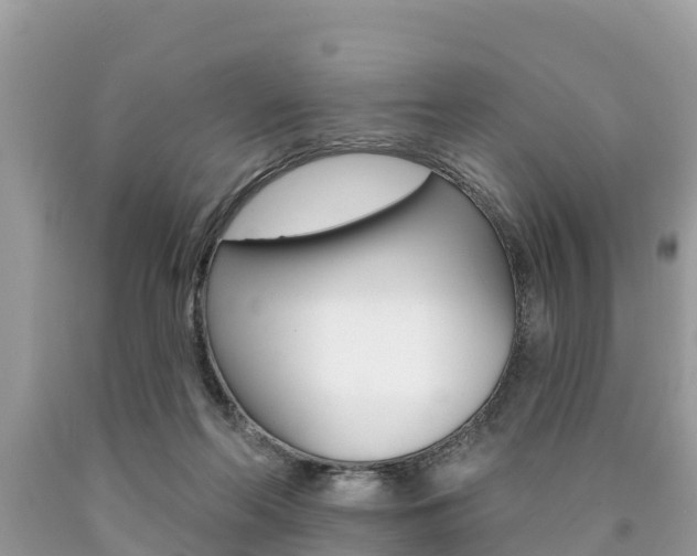 X0000090770214200707201121