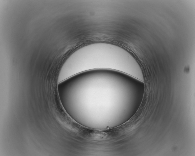X0000090770215200707201121