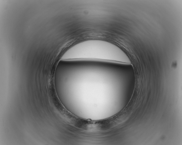 X0000090770216200707201121
