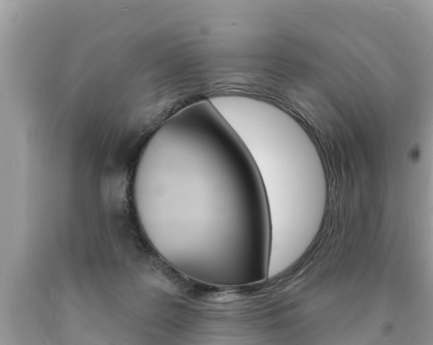 X0000090770219200707201121