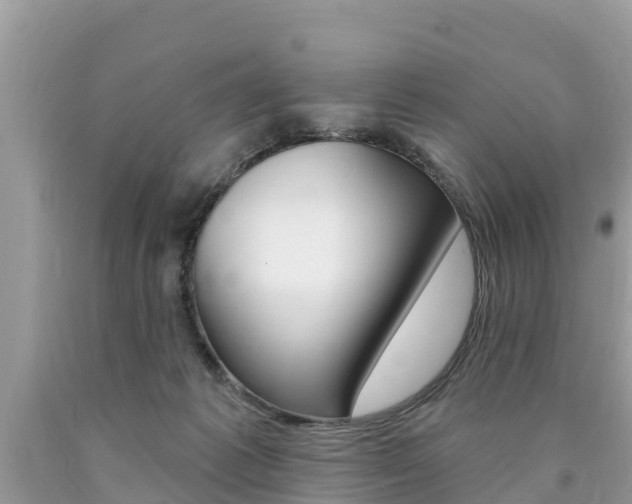 X0000090770221200707201121
