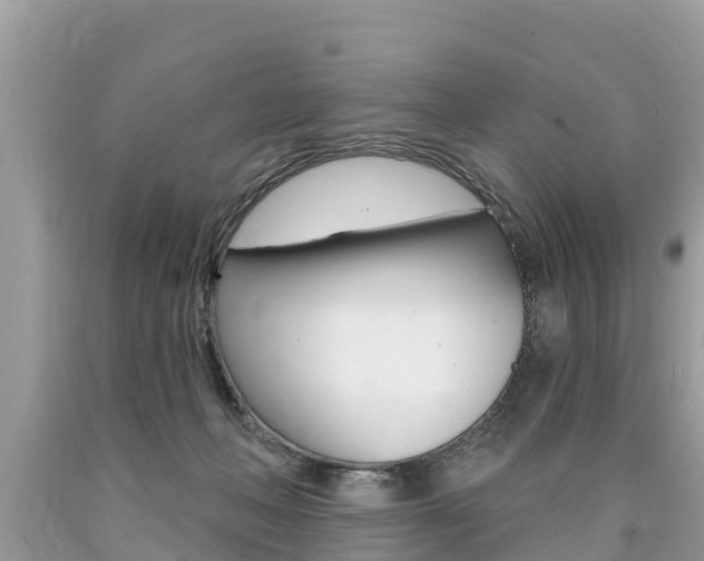 X0000090770222200707201121