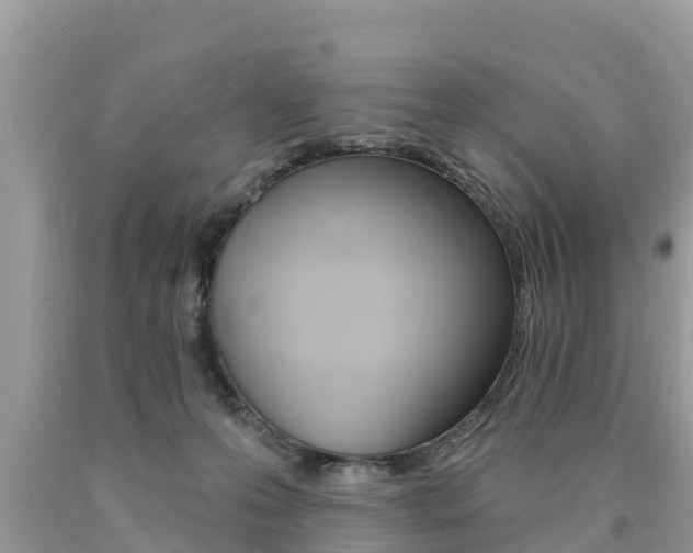 X0000090770223200707201121