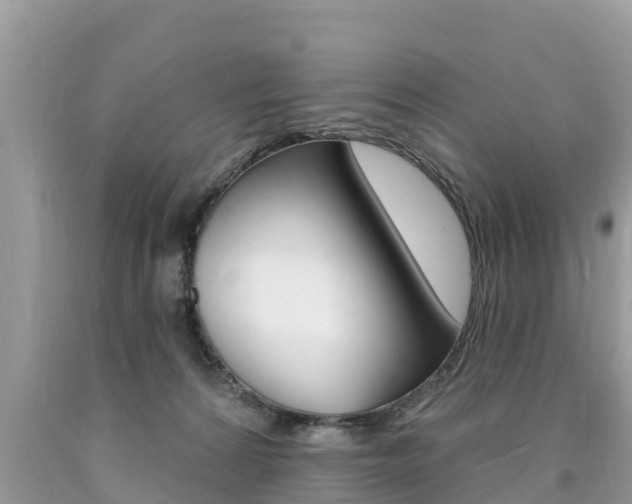 X0000090770224200707201121