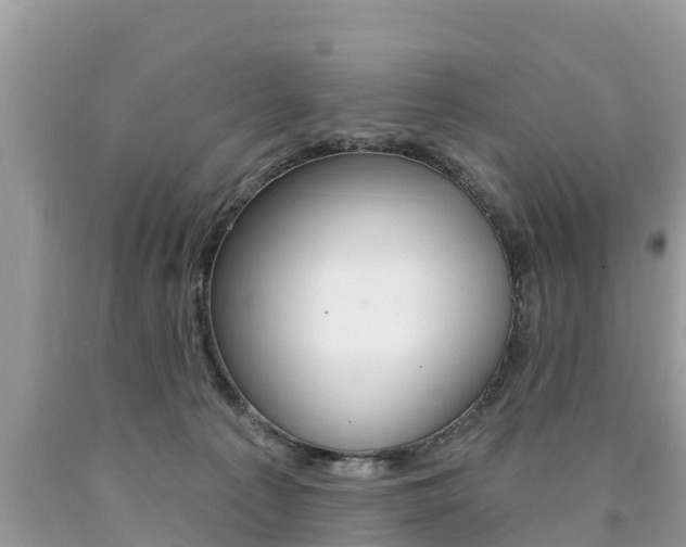 X0000090770225200707201121