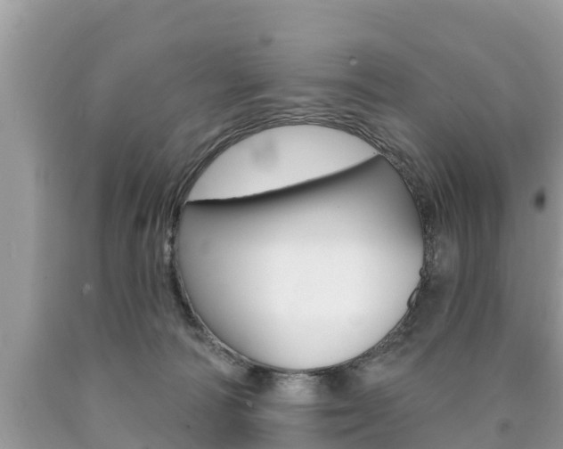 X0000090770226200707201121