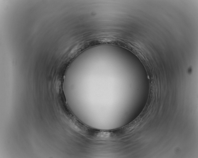 X0000090770227200707201121