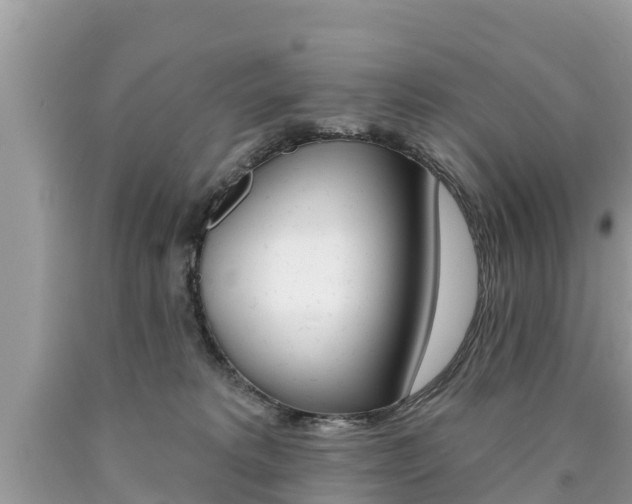 X0000090770229200707201121