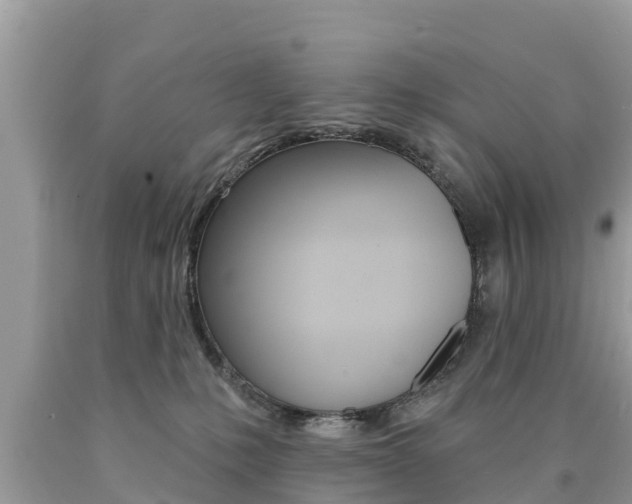 X0000090770231200707201121