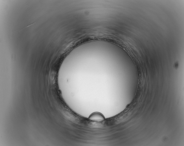 X0000090770232200707201121