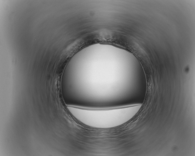 X0000090770233200707201121