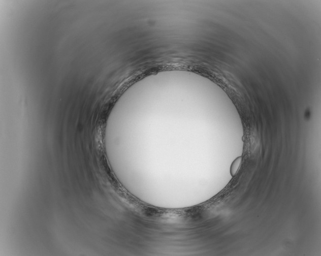 X0000090770236200707201121