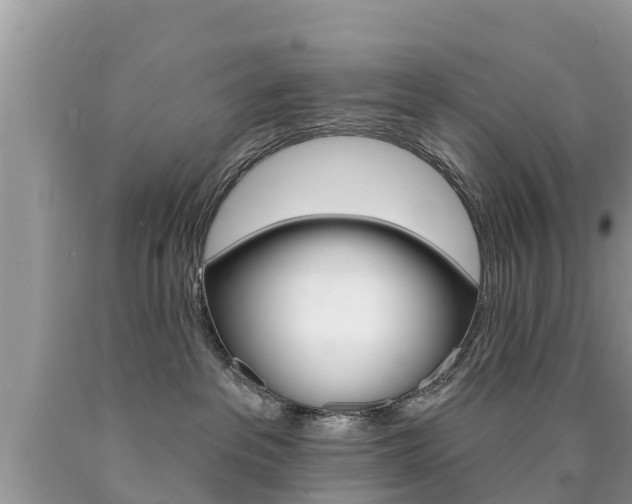 X0000090770237200707201121
