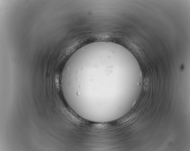 X0000090770238200707201121