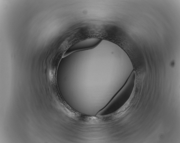 X0000090770239200707201121