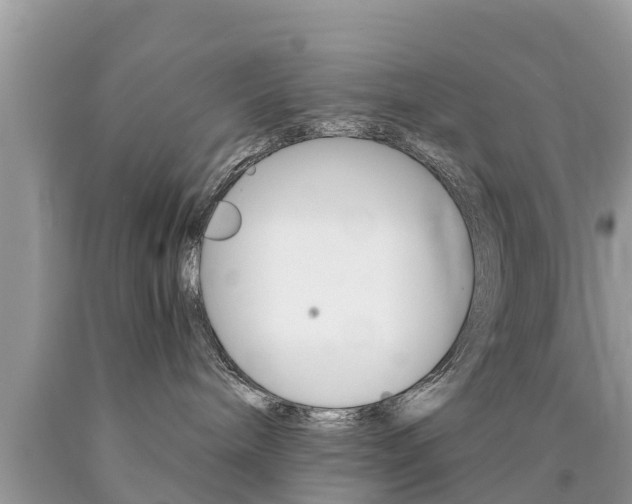 X0000090770240200707201121