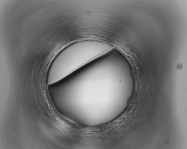X0000090770241200707201120