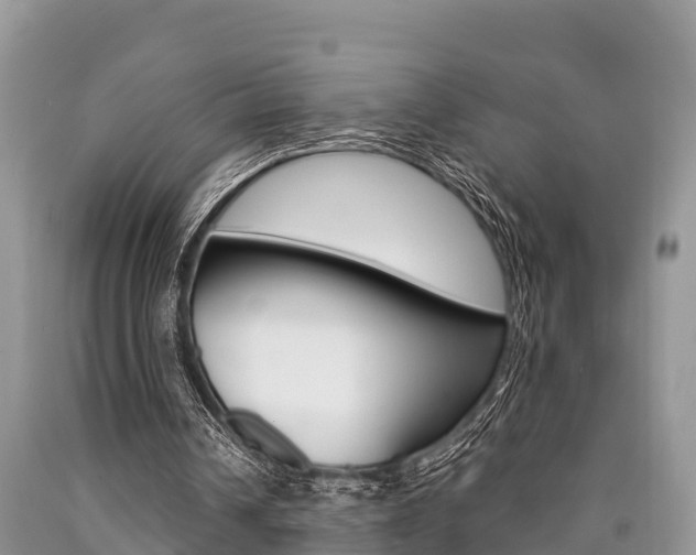 X0000090770242200707201120
