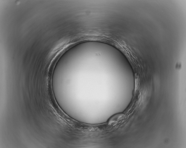 X0000090770243200707201120