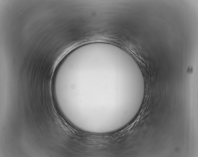 X0000090770244200707201120