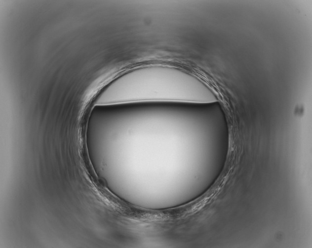 X0000090770245200707201120