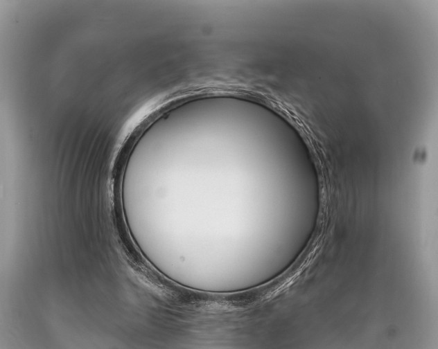 X0000090770246200707201120