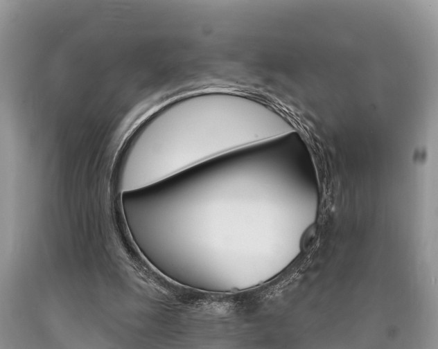 X0000090770247200707201120
