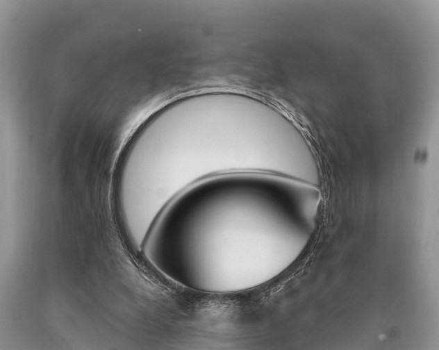 X0000090770248200707201120
