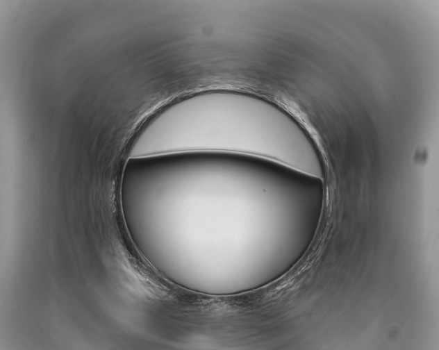 X0000090770249200707201120