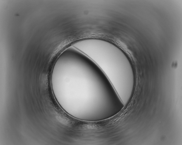 X0000090770250200707201120