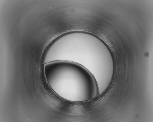 X0000090770252200707201120