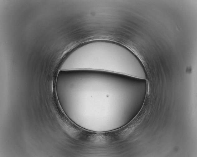 X0000090770253200707201120