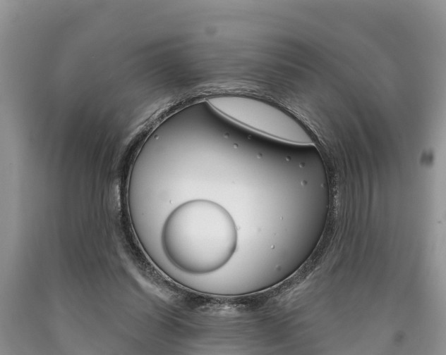 X0000090770254200707201120