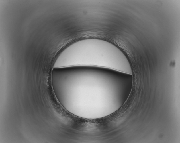 X0000090770255200707201120