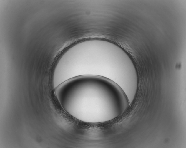 X0000090770256200707201120