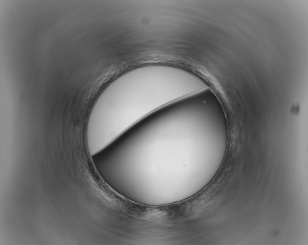 X0000090770257200707201120