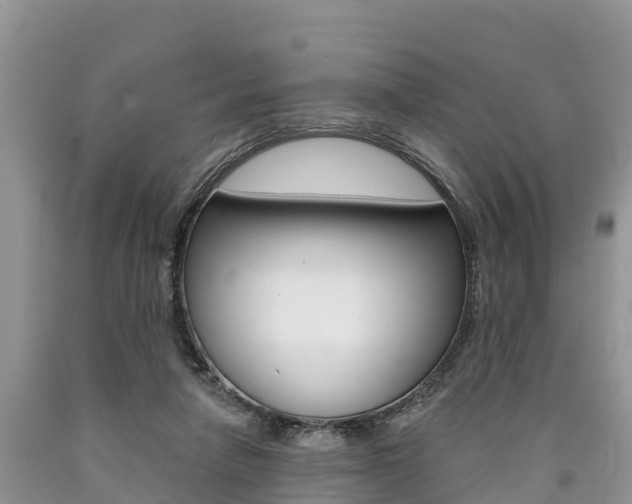 X0000090770258200707201120