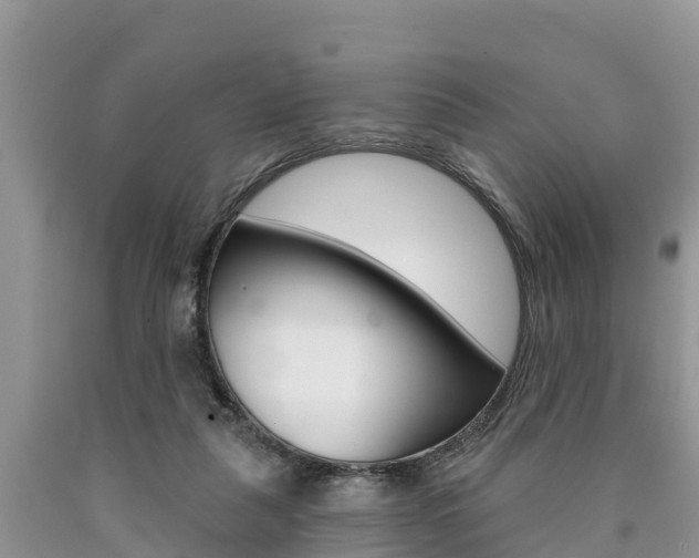 X0000090770259200707201120