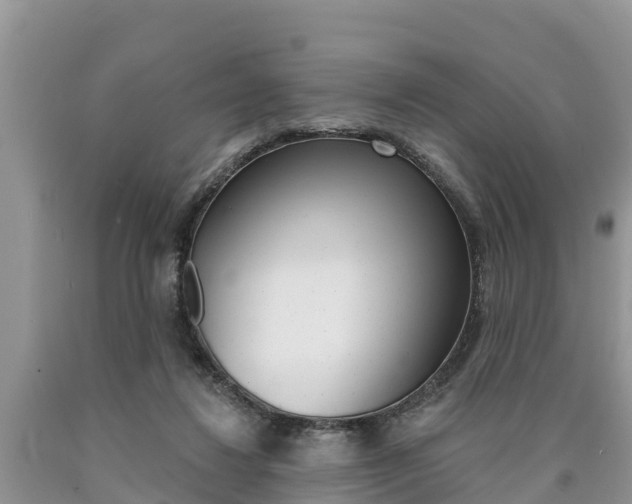 X0000090770260200707201120