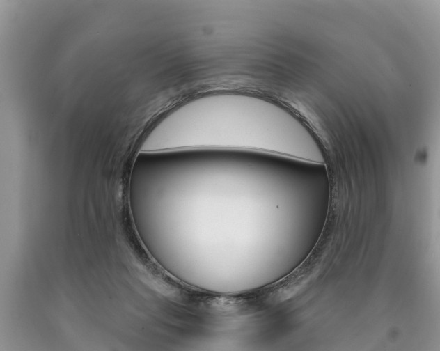 X0000090770261200707201120