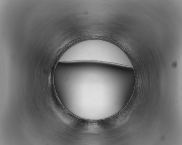 X0000090770262200707201120
