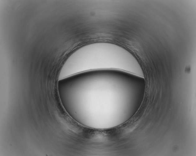 X0000090770263200707201120