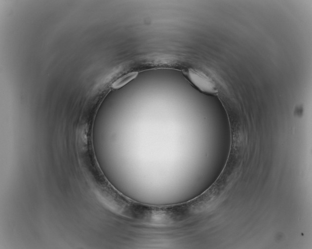 X0000090770264200707201120