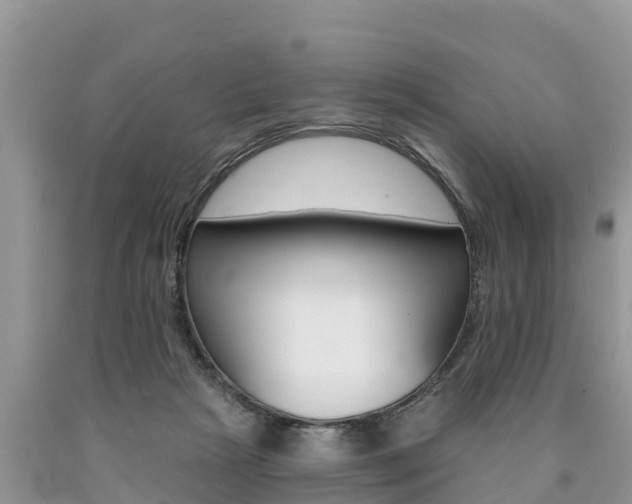 X0000090770265200707201120